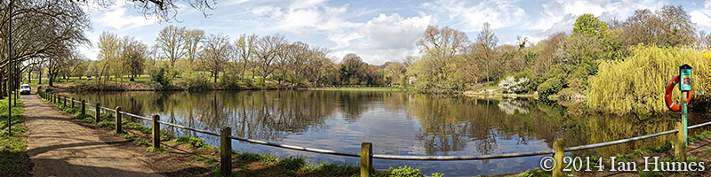 Hampstead Heath Ponds Project